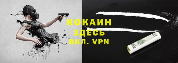 дживик Карпинск