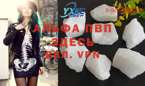 индика Осташков
