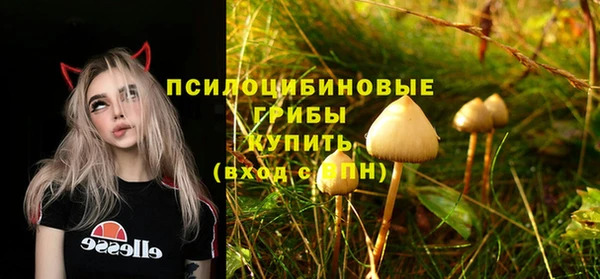 apvp Корсаков
