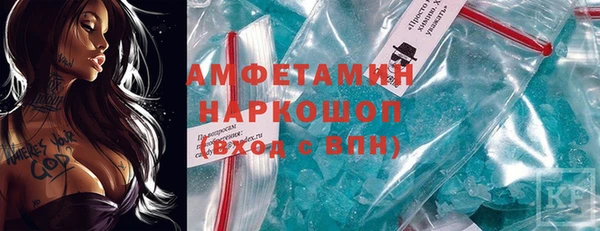 PSILOCYBIN Алзамай