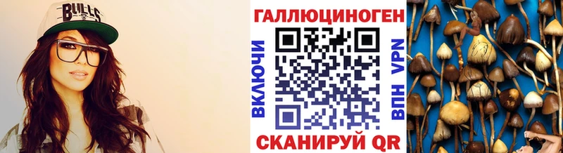 Псилоцибиновые грибы Cubensis  Бавлы 